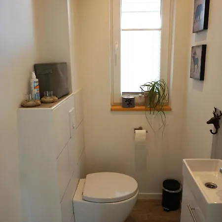 Apartman Skandiflair